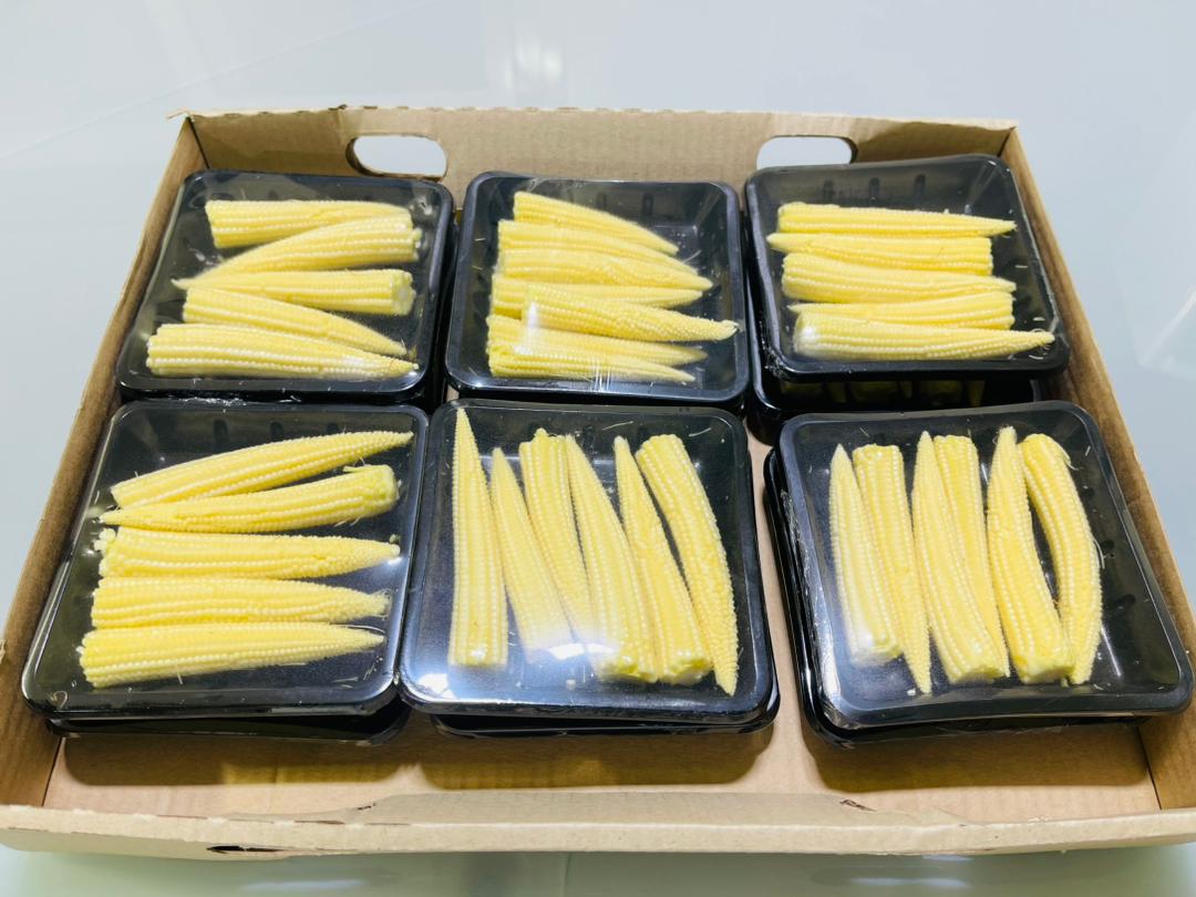 Produce prepared for export from Plot 68.