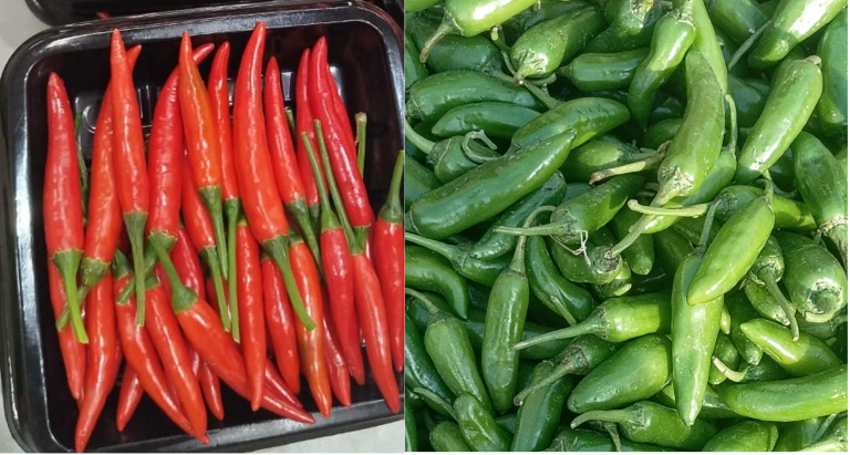 Chillies grown and ready for market.